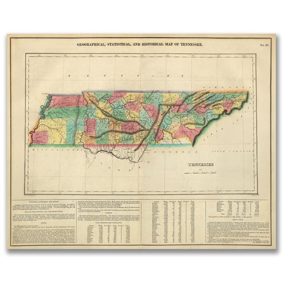 Harris County Texas 1879 Vintage Land Ownership Map 11x14 Unframed PosterAntique Surveyor Cartography Reproduction Historical Wall Art Rustic Houston Region Home Office Library Classroom Study Dcor