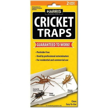 Harris Cricket Glue Traps