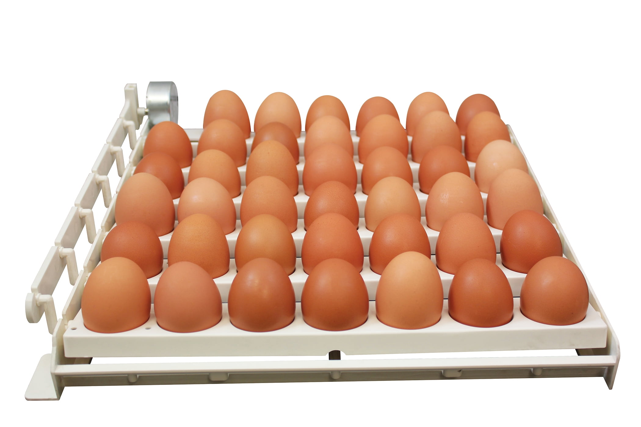 harris-farms-poultry-chicken-beige-plastic-auto-egg-turner-walmart