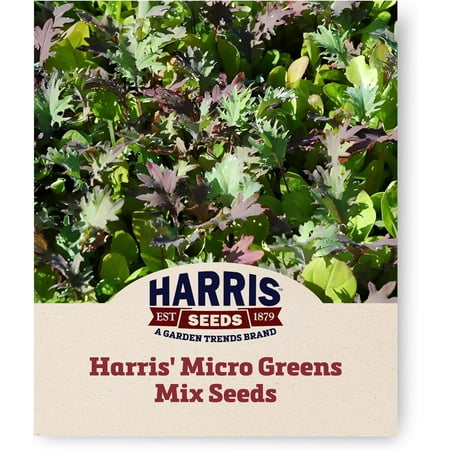Harris Seeds - Green Harris’ Micro Mix Seeds Premium Multicolor - 1 Oz.