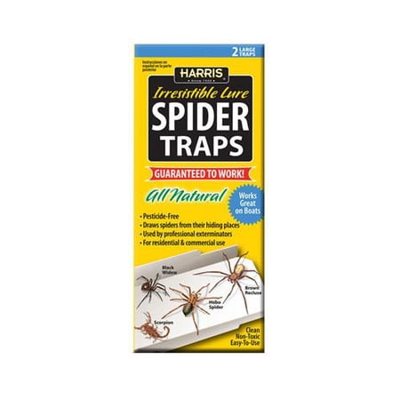 SPIDER TRAP (Pack of 15)