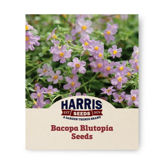Harris Seeds 10 Lavender Blue Bacopa Blutopia Plant Seeds
