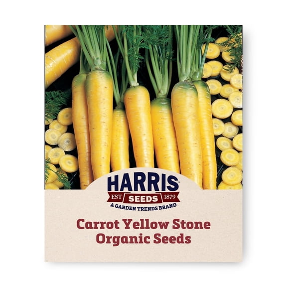 Harris Seeds Yellow Stone Organic Carrot, Yellow Root Variety for Garden Growing, 250 Count