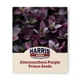thumbnail image 1 of Harris Seeds Alternanthera Purple Prince, Ruby Burgundy Foliage, 25 Count, 1 of 7