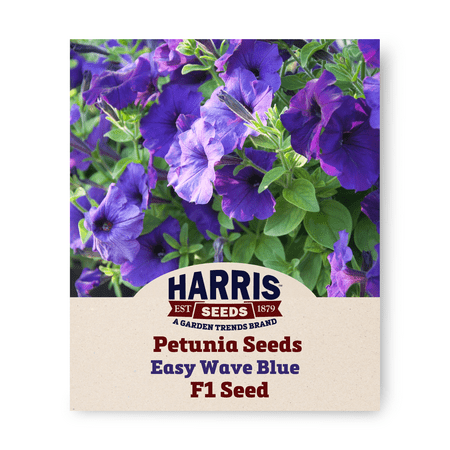 Harris Seeds 25 Easy Wave Petunia Plant Seeds, Dark Purple and Blue