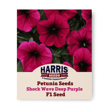 Harris Seeds 25 Petunia Plant Seeds, GMO Free