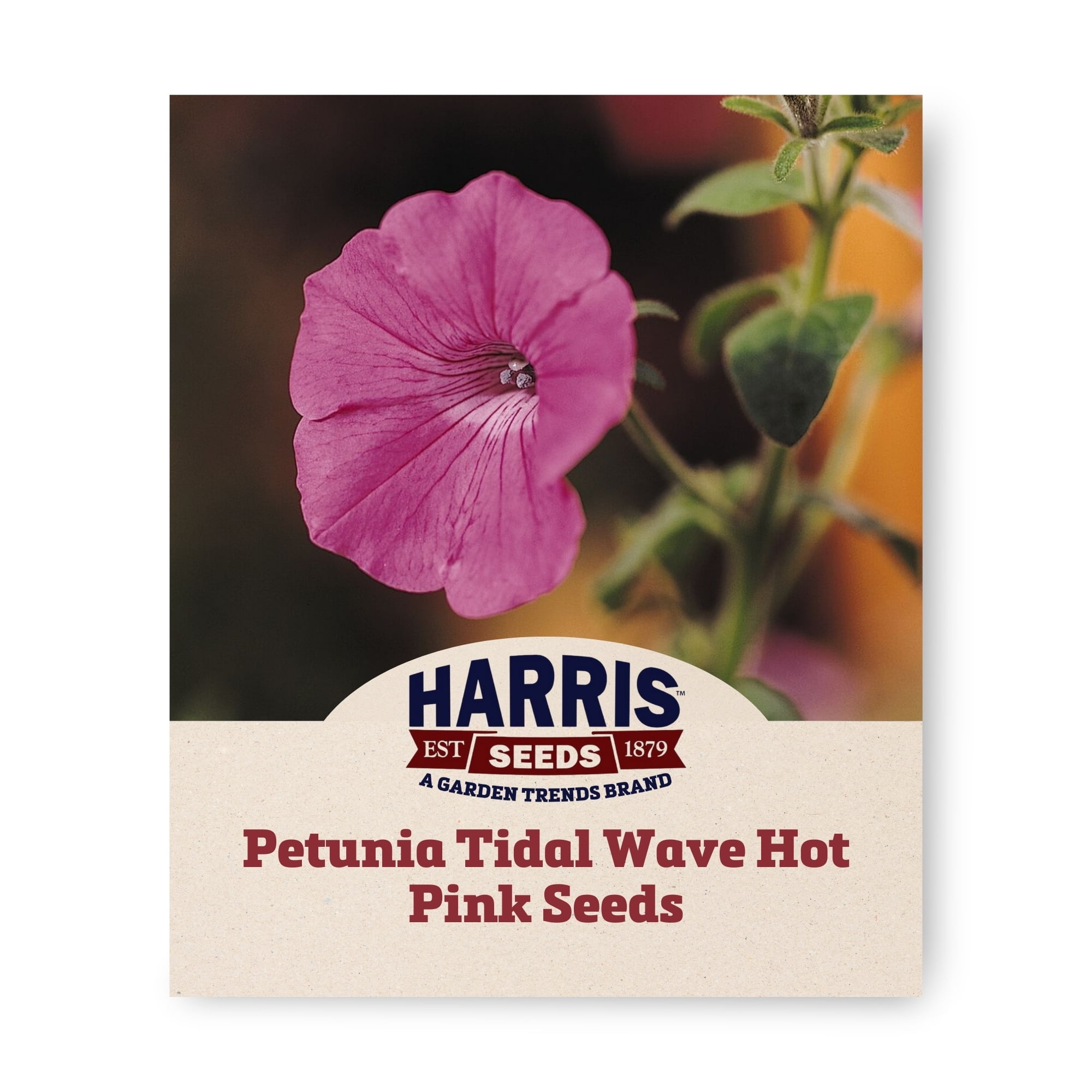 Harris Seeds 25 Petunia Tidal Wave Hot Pink F1 Plant Seeds - Walmart.com