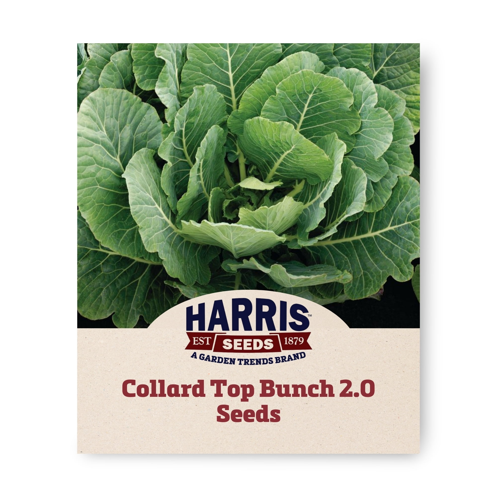 Harris Seeds Collard Top Bunch 2.0 F1 Seeds, Hybrid Collards, Blue ...