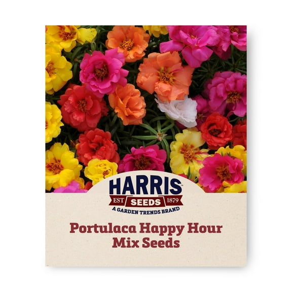 Harris Seeds 250 Portulaca Plant Seeds, Annual Multipelleted