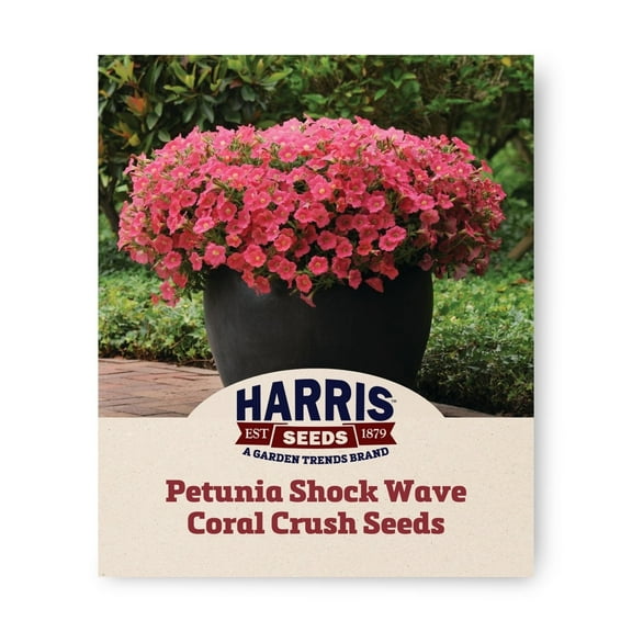 Harris Seeds - Petunia Shock Wave Coral Crush F1 Seeds - Early Blooming - 25 Pelleted Seeds