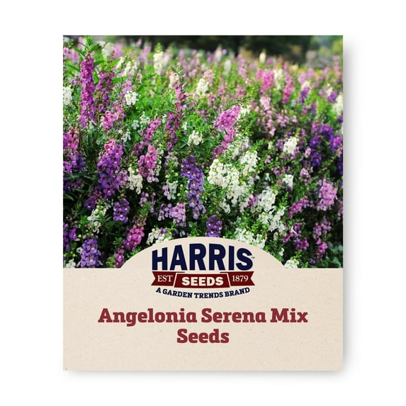 Harris Seeds 403910 Angelonia Serena Mix F1 Plant Seeds