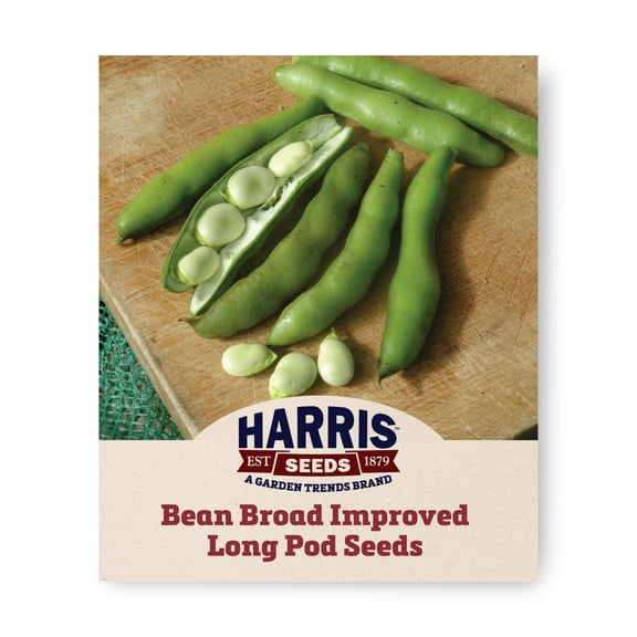 Harris Seeds Broad Improved Long Pod Bean, Nutty Flavor Fava Type Beans for Spring Gardens, 50 Count
