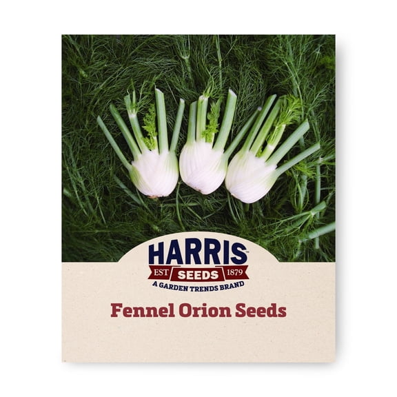 Harris Seeds 50 Fennel Plant Seeds