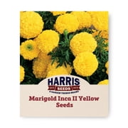 Harris Seeds Inca II Yellow F1 Marigold, Bright Lemon Yellow Double Flowers, 50 Count