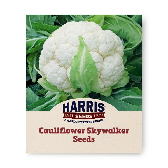 Harris Seeds 50 Skywalker Cauliflower Plant Seeds, Non-GMO