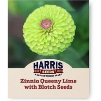 Harris Seeds 50 Zinnia Plant Seeds, Double to Semi-Double Blooms