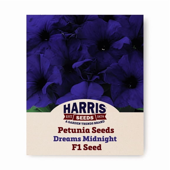 Harris Seeds Petunia Dreams Midnight F1, Grandiflora Purple Blue Petunia, 500 Count