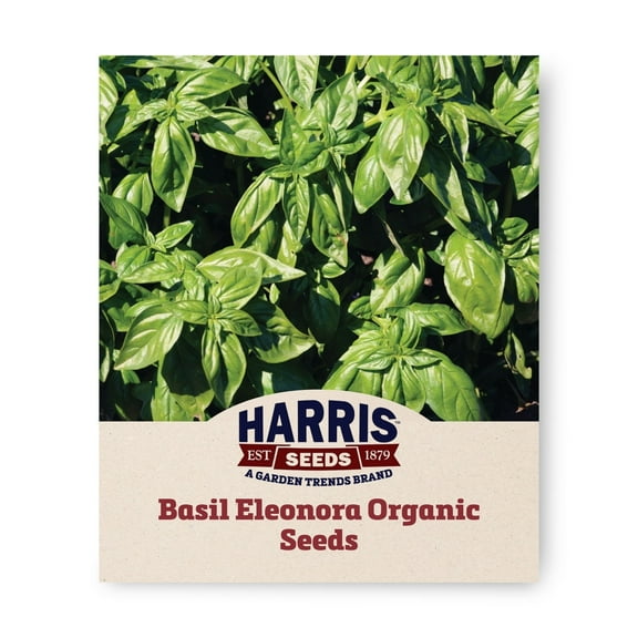 Harris Seeds - Basil Eleonora Organic Seeds - Medium Green Leaves - 250 Seeds