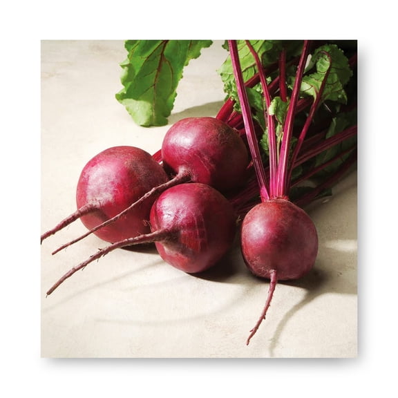 Harris Seeds Merlin F1 Beet, Dark Red Round Beet Variety for Fresh Harvests, 1,000 Count