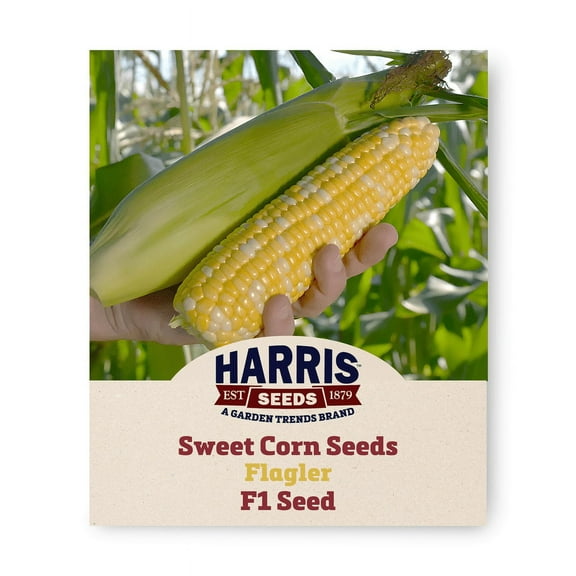 Harris Seeds Bi-Color Sweet Corn Flagler F1 Seeds Crusier Treated-250 Seeds