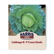 Harris Seeds - Cabbage Seeds - K-Y Cross Non-GMO Variety - Non-GMO - Large Heads - 50 Seeds