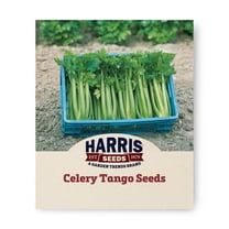 Harris Seeds - Celery Seeds - Tango Organic Variety - Non-GMO - 50 Seeds