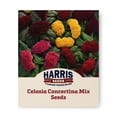 thumbnail image 1 of Harris Seeds - Celosia Concertina Mix Seeds - Compact Cockscomb Variety - 100 Seeds, 1 of 5