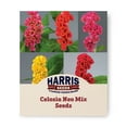 thumbnail image 1 of Harris Seeds - Celosia Neo Mix Seeds For Planting - Quick Germination - 100 Seeds, 1 of 5