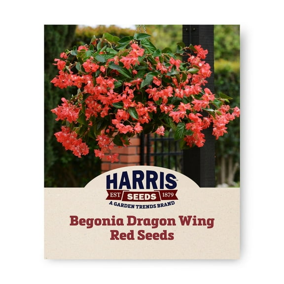 Harris Seeds - Celosia Seeds - Ice Cream Mix - Large, Tight Plumes - 500 Seeds