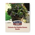 thumbnail image 1 of Harris Seeds - Celosia Sol Gekko Green Seeds For Planting - Quick Germination - 100 Seeds, 1 of 5