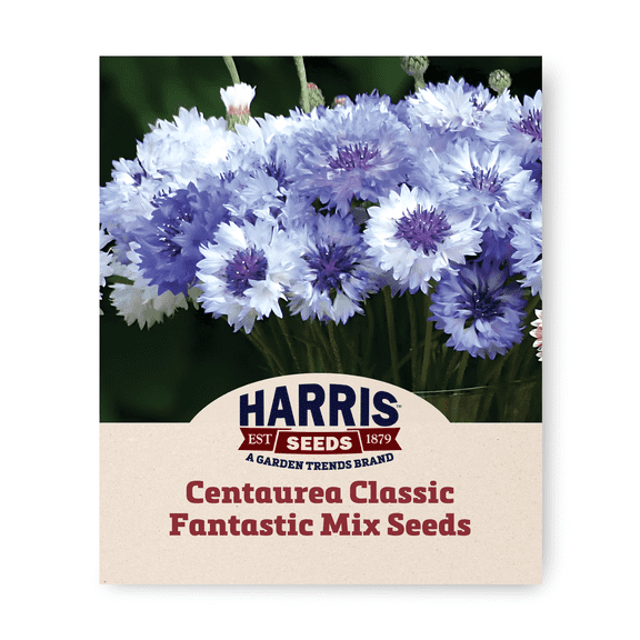 Harris Seeds - Centaurea Classic Fantastic Mix Flower Seeds - 1,000 Seeds