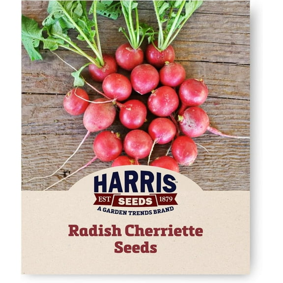 Harris Seeds - Cherriette Radish Seeds Treated Non-GMO, 250 Seeds