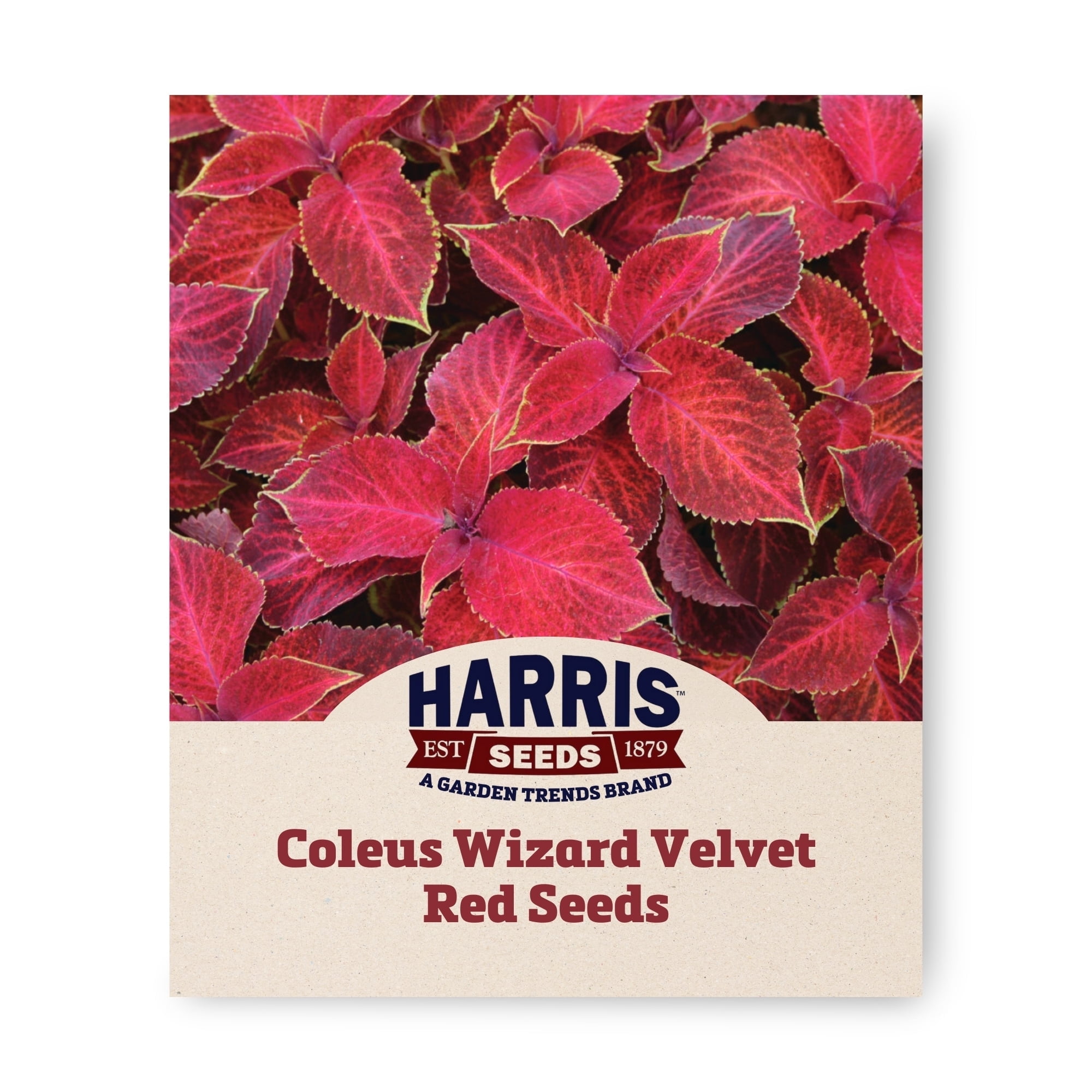 Harris Seeds Coleus Wizard Seed