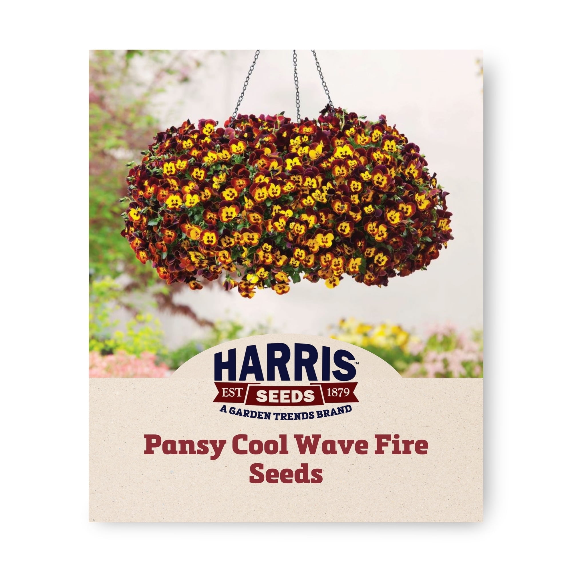 Harris Seeds Cool Wave Pansy Seeds - Thumbnail 5
