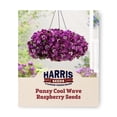 Harris Seeds Cool Wave Raspberry Pansy, Spreading Rose-Purple Flowers ...