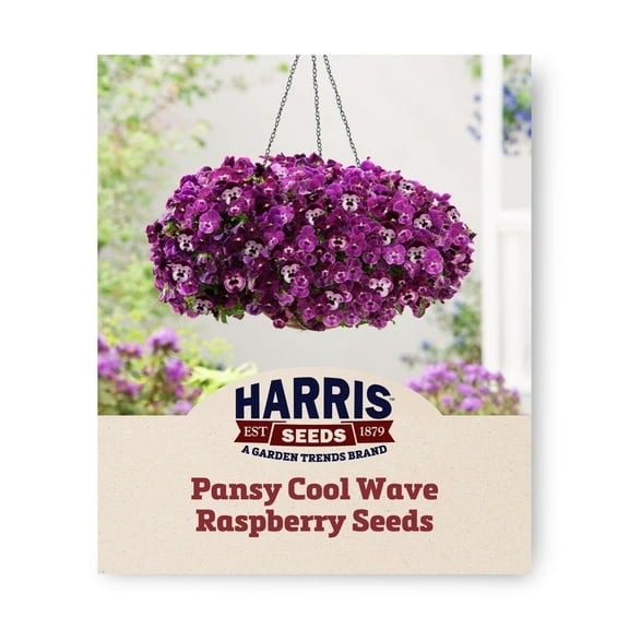 Harris Seeds Cool Wave Raspberry Seed Plant Seeds, 6-8" Plant Height