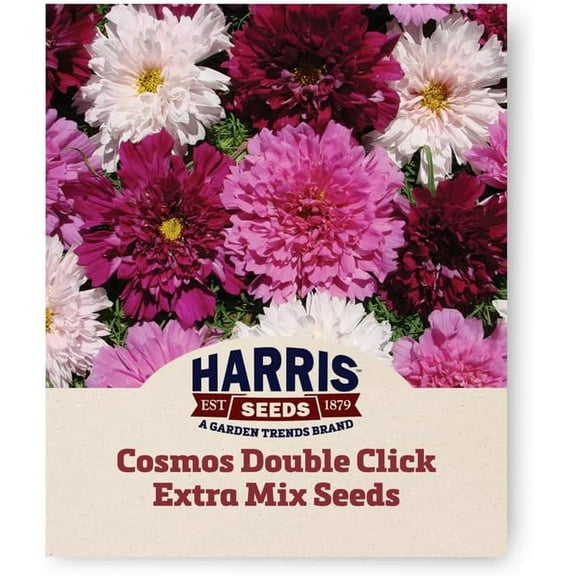 Harris Seeds - Cosmos Double Click Seeds Extra Mix Flowers Non-GMO - 50 Seeds