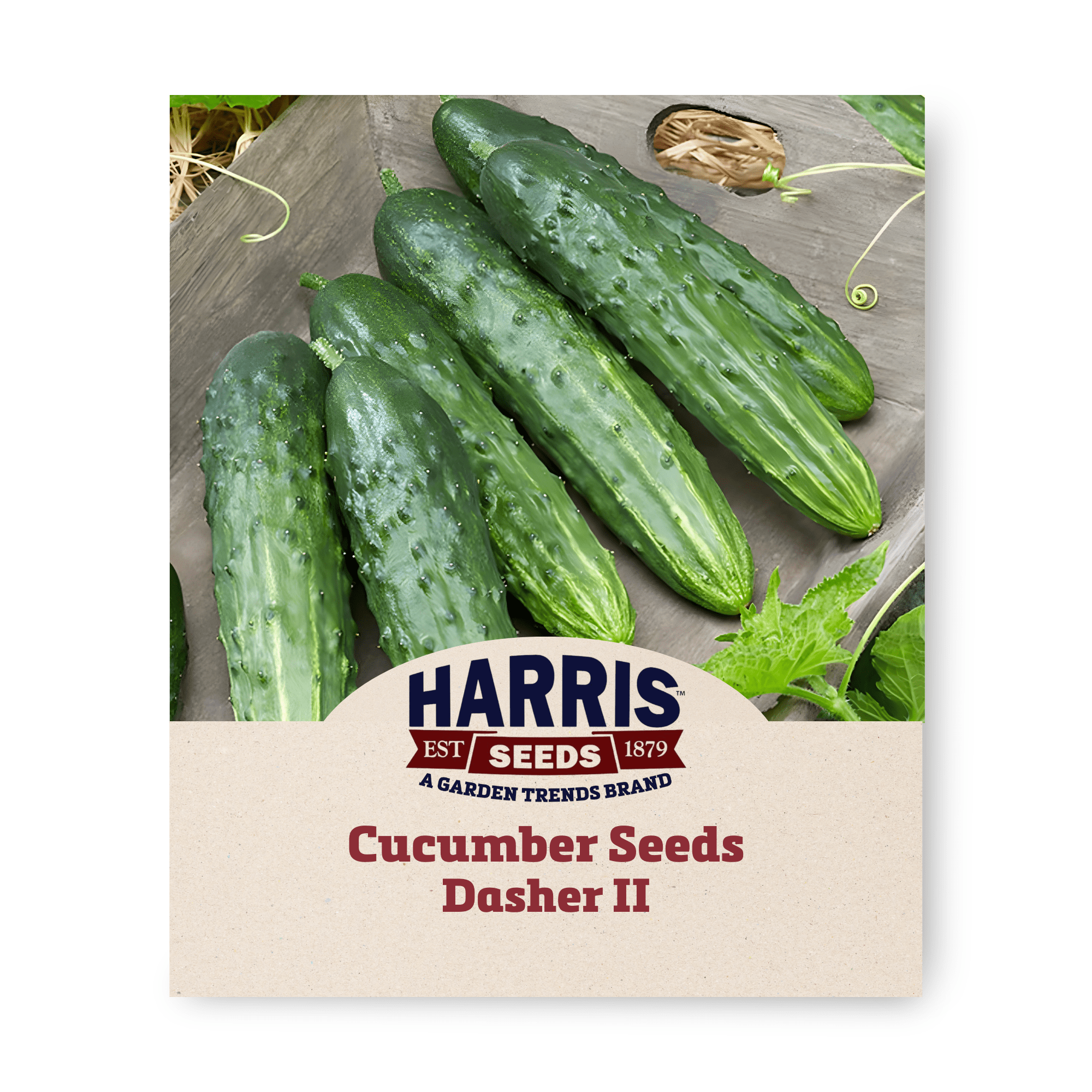 Harris Seeds Cucumber Dasher II Seeds F1 for Planting Vegetable 500