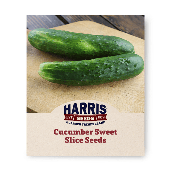 Harris Seeds - Cucumber Sweet Slice - F1 Variety - Non-GMO 500 Seeds