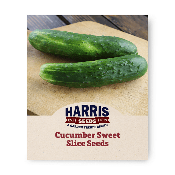 Harris Seeds - Cucumber Sweet Slice - Treated F1 Variety - Non-GMO 500 Seeds