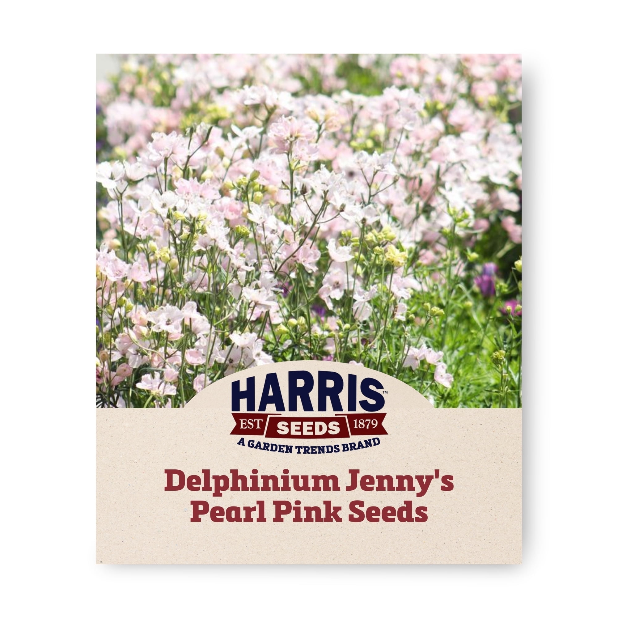 Harris Seeds - Delphinium Guardian Mix F1 Seeds - Early Blooms - 100 Seeds