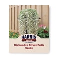 thumbnail image 1 of Harris Seeds Dichondra Silver Falls, Trailing Foliage Plant for Hanging Baskets and Ground Cover, 100 Count, 1 of 7
