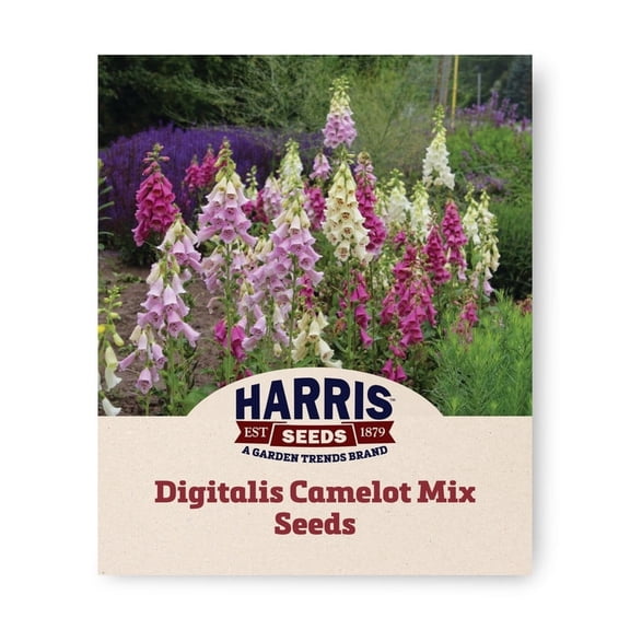 Harris Seeds Digitalis Camelot Mix, Foxglove Flowering Variety for Garden Beds, 25 Count