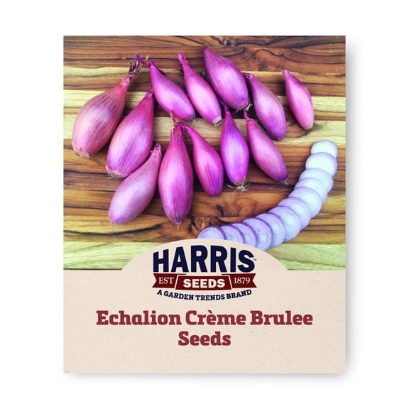 Harris Seeds Echalion 250 Plant Seeds, Long Storage Potential