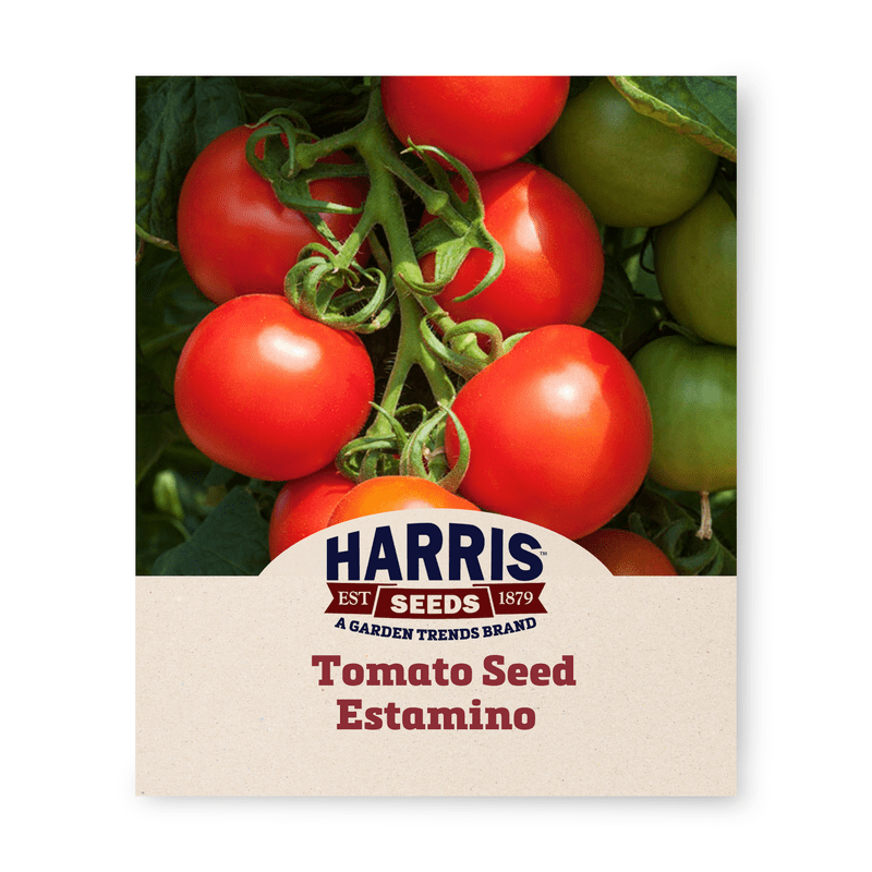 Harris Seeds Estamino Organic Variety Tomato NonGMO 50 Seeds