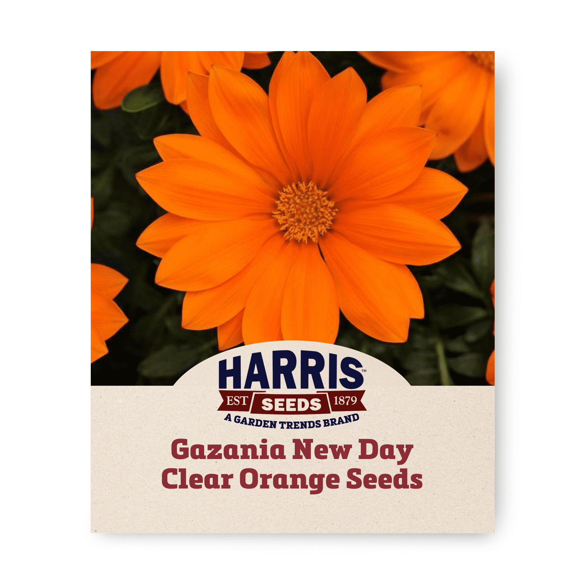 Harris Seeds - F1 Gazania New Day Seeds, Bright Yellow Non-GMO