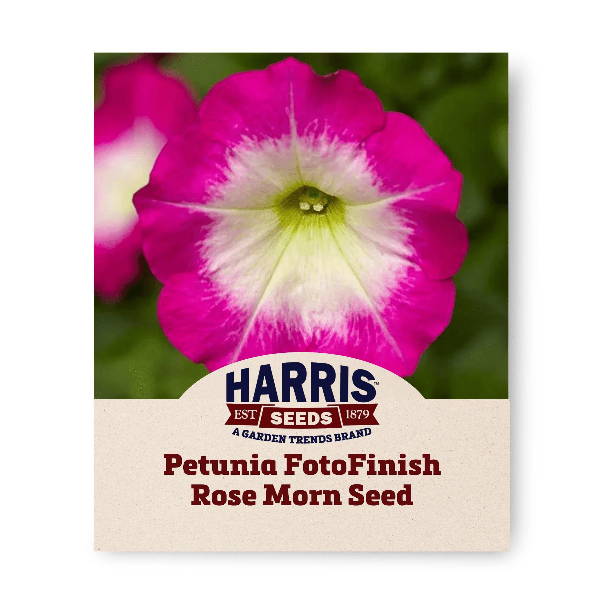 Harris Seeds Fotofinish Petunia Seeds