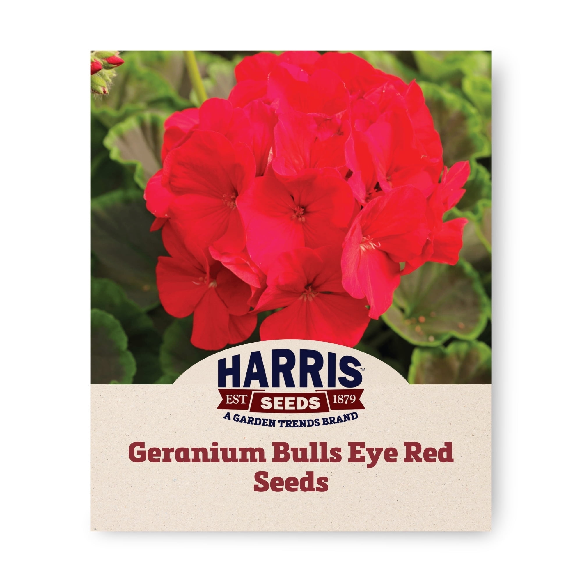 Harris Seeds - Geranium Bullseye Red F1 Variety Flower Seeds - 100 Seeds