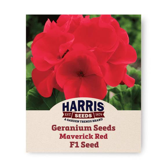 Harris Seeds Geranium Maverick Red F1 Flower, Uniform Blooms, Annual Flower Type, 25 Count