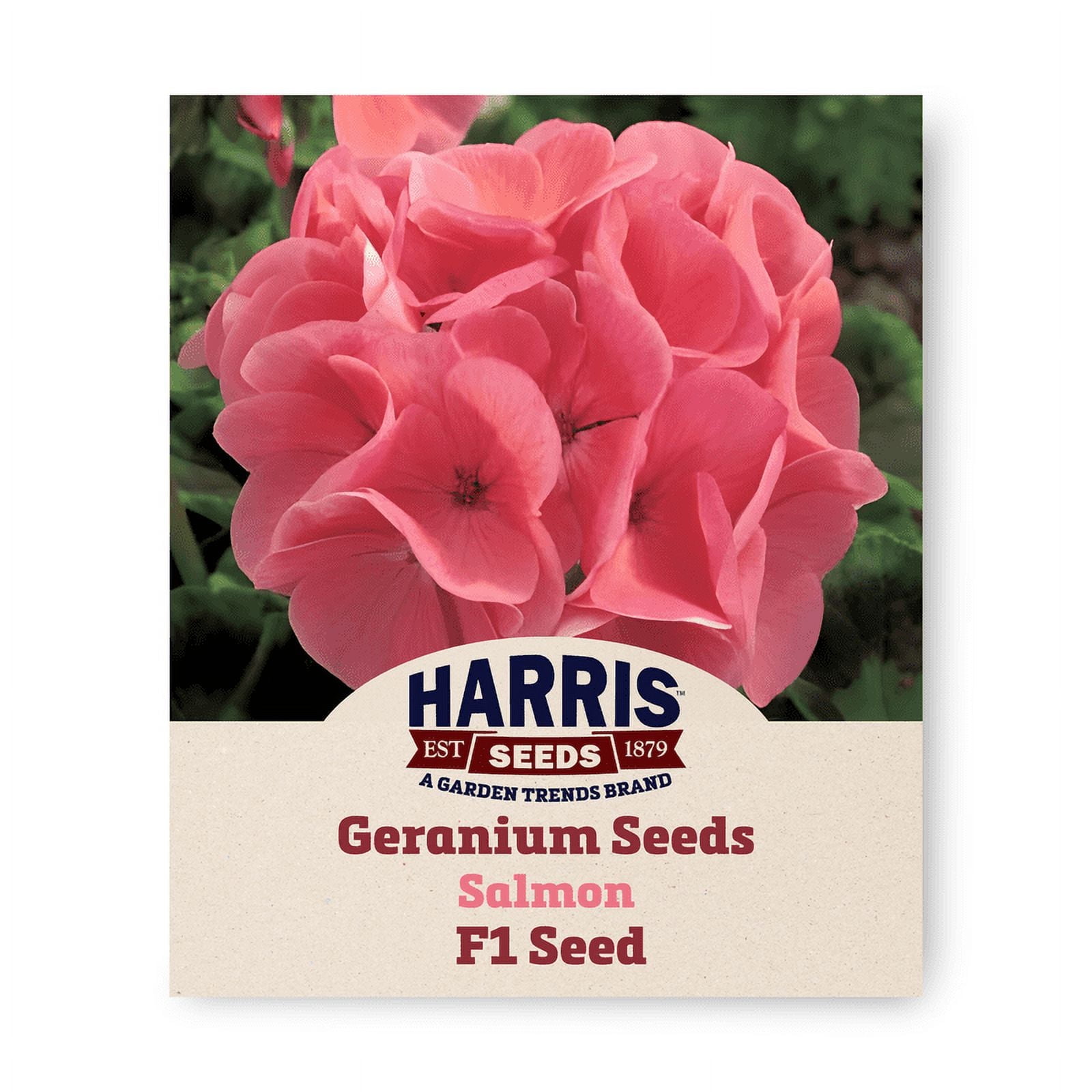 Harris Seeds Geranium Seeds for Planting - Maverick Salmon - 100 Seeds